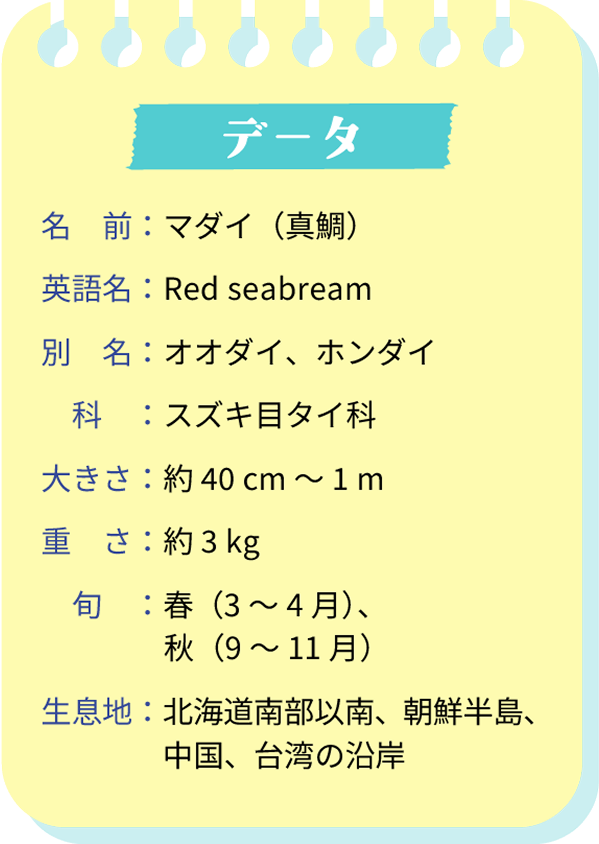 データ　名前：マダイ（真鯛）　英語名：Red seabream　別名：オオダイ、ホンダイ　科：スズキ目タイ科　大きさ：約40cm～1m　重さ：約3kg　旬：春（3～4月）、秋（9～11月）　生息地：北海道南部以南、朝鮮半島、中国、台湾の沿岸