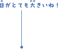 目がとても大きいね！