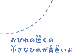 おびれの近くの小さなひれが黄色いよ