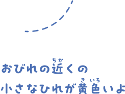 おびれの近くの小さなひれが黄色いよ