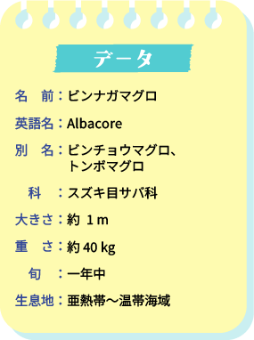 データ。名前：ビンナガマグロ。英語名：Albacore。別名：ビンチョウマグロ、トンボマグロ。科：スズキ目サバ科。大きさ：約1m。重さ：約40kg。旬：1年中。生息地：亜熱帯～温帯海域