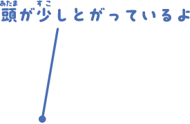 頭が少しとがっているよ。