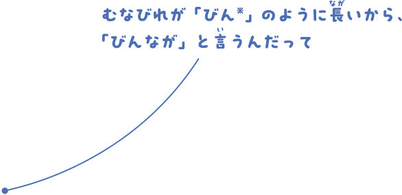 むなびれが「びん」のように長いから、「びんなが」と言うんだって。