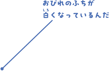 おびれのふちが白くなっているんだ。