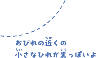 おびれの近くの小さなひれが黒っぽいよ。