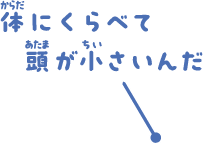 体にくらべて頭が小さいんだ。