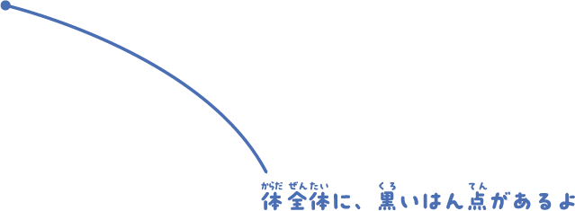 体全体に、黒いはん点があるよ。