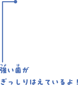 強い歯がぎっしりはえているよ！