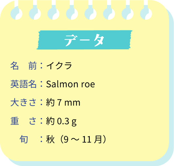 データ。名前：イクラ。英語名：Salmon roe。大きさ：約7㎜。重さ：約0.3g。旬：秋（9～11月）。