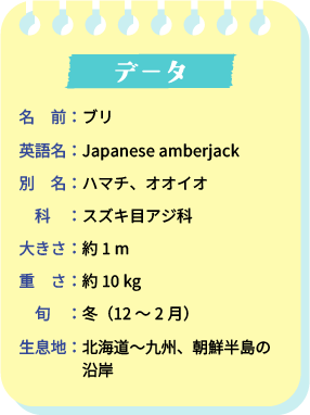 データ。名前：ブリ。英語名：Japanese amberjack。別名：ハマチ、オオイオ。科：スズキ目アジ科。大きさ：約1m。重さ：約10kg。旬：冬（12～2月）。生息地：北海道～九州、朝鮮半島の沿岸。