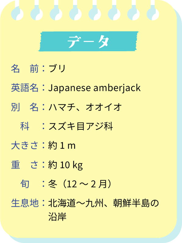 データ。名前：ブリ。英語名：Japanese amberjack。別名：ハマチ、オオイオ。科：スズキ目アジ科。大きさ：約1m。重さ：約10kg。旬：冬（12～2月）。生息地：北海道～九州、朝鮮半島の沿岸。