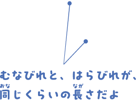 体のまん中に、黄色い線が入っているね。