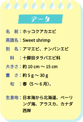 データ。名前：ホッコクアカエビ。英語名：Sweet Shrimp。別名：アマエビ、ナンバンエビ。科：十脚目タラバエビ科。大きさ：約10cm～15cm。重さ：約5g～30g。旬：春（5～6月）、秋～冬（9～1月）。生息地：日本海から北海道、ベーリング海、アラスカ、カナダ西岸。