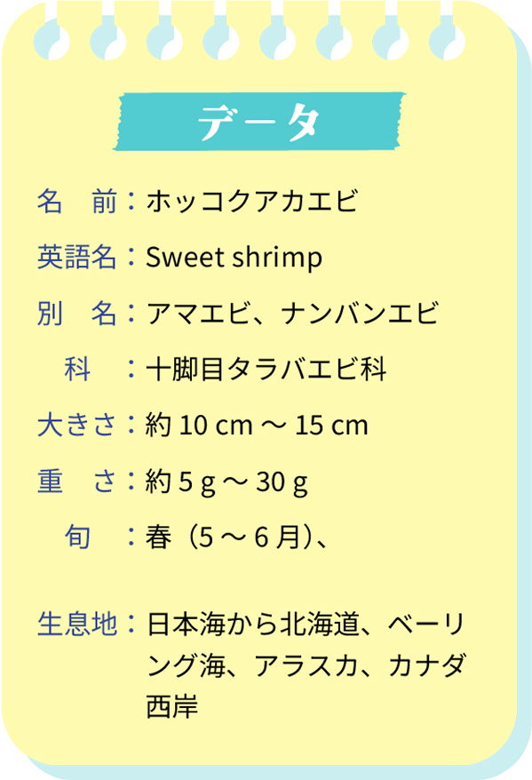 データ。名前：ホッコクアカエビ。英語名：Sweet Shrimp。別名：アマエビ、ナンバンエビ。科：十脚目タラバエビ科。大きさ：約10cm～15cm。重さ：約5g～30g。旬：春（5～6月）、秋～冬（9～1月）。生息地：日本海から北海道、ベーリング海、アラスカ、カナダ西岸。