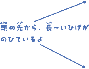 頭の先から、長～いひげがのびているよ