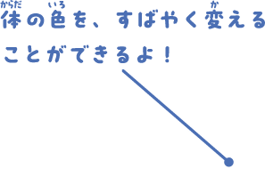 体の色を、すばやく変えることができるよ！