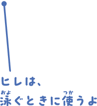 ヒレは、泳ぐときに使うよ