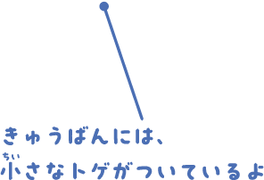 きゅうばんには、小さなトゲがついているよ