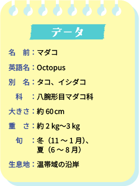 データ。名前：マダコ。英語名：Octopus。別名：タコ、イシダコ。科：八腕形目マダコ科。大きさ：約60cm。重さ：約2kg～3kg。旬：冬（11～1月）、夏（6～8月）。生息地：温帯域の沿岸。