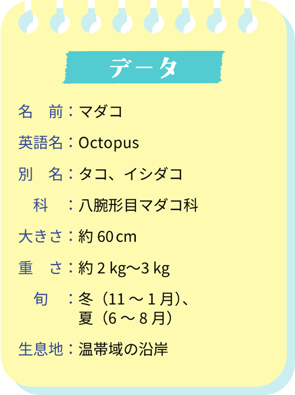 データ。名前：マダコ。英語名：Octopus。別名：タコ、イシダコ。科：八腕形目マダコ科。大きさ：約60cm。重さ：約2kg～3kg。旬：冬（11～1月）、夏（6～8月）。生息地：温帯域の沿岸。