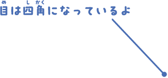 目は四角になっているよ