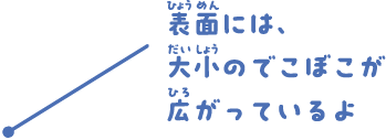 表面には、大小のでこぼこが広がっているよ