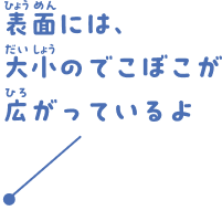 足は全部バラバラに動かせるよ。