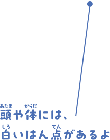 顔にくらべると、目が大きいね！