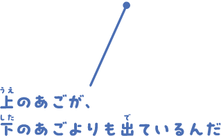 上のあごが、下のあごよりも出ているんだ