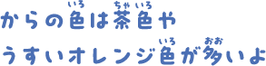 からの色は茶色やうすいオレンジ色から多いよ