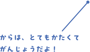 からは、とてもかたくてがんじょうだよ！
