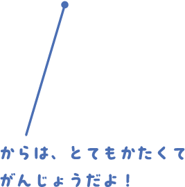 大きくなるにつれて、たての線が目立ってくるよ