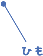 ふくらんでいるほうが表、平たくなっているほうがうらだよ