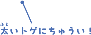 太いトゲにちゅうい！
