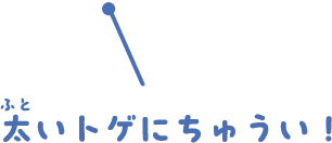 太いトゲにちゅうい！