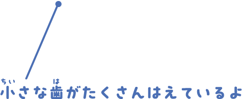 小さな歯がたくさんはえているよ