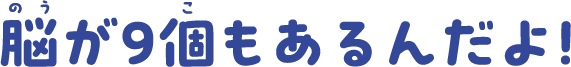 脳が9個もあるんだよ