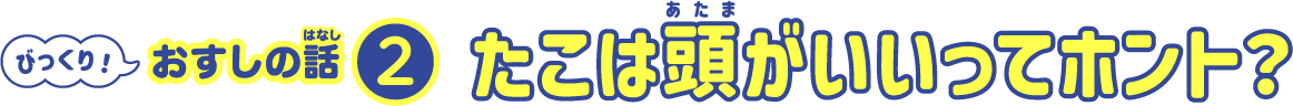 たこは頭がいいってほんと？