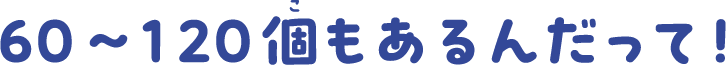 60～120個もあるんだって！