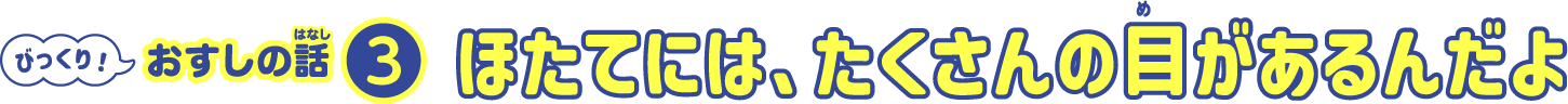ほたてには、たくさんの目があるんだよ