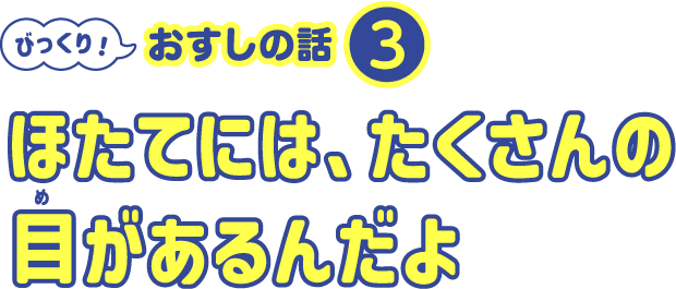 ほたてには、たくさんの目があるんだよ