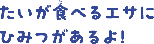 たいが食べるエサにひみつがあるよ！