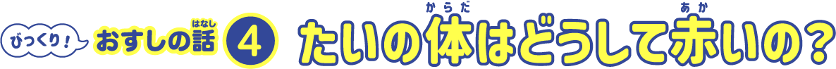 たいの体はどうして赤いの？
