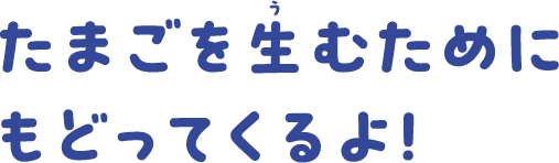 たまごを生むためにもどってくるよ！