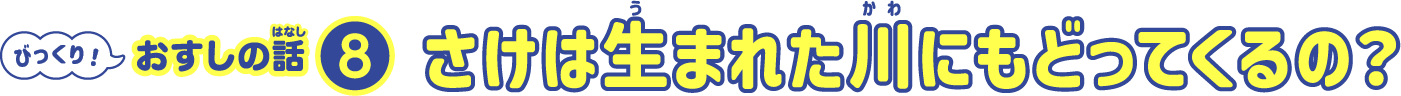 さけは生まれた川にもどってくるの？