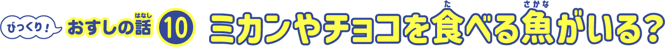 ミカンやチョコを食べる魚がいる？