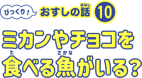 ミカンやチョコを食べる魚がいる？