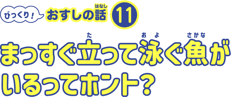 まっすぐ立って泳ぐ魚がいるってホント？