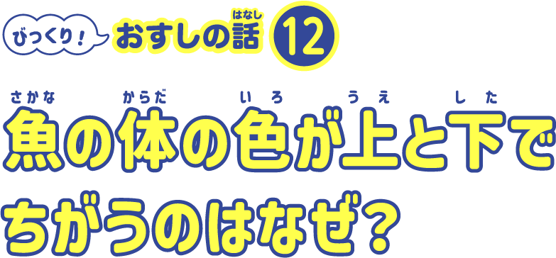 魚の体の色が上と下でちがうのはなぜ？