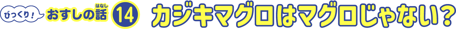 魚の体の色が上と下でちがうのはなぜ？